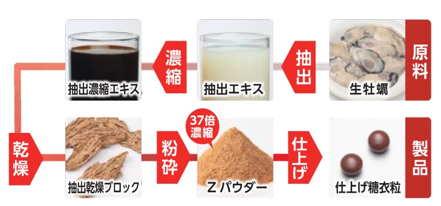 日本クリニック HP素材 製造工程
